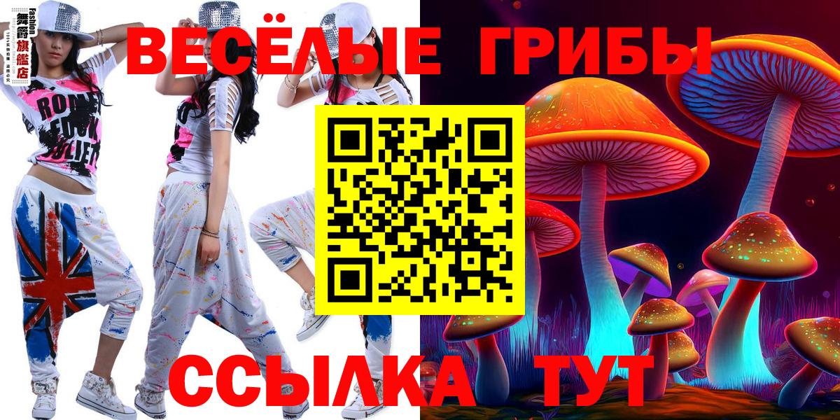 хочу наркоту  Псилоцибиновые грибы Psilocybe  Вход с VPN  Бахчисарай  Галлюциногенные грибы Cubensis 